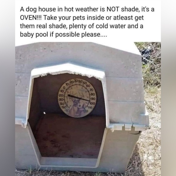 🐈‍⬛🐕 KEEP EM COOL 🐕‍🦺🐈 - Picture 5 of 5